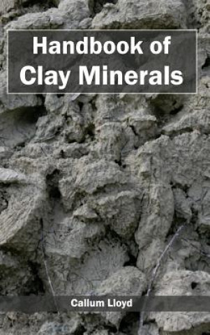 Carte Handbook of Clay Minerals Callum Lloyd