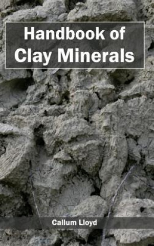 Könyv Handbook of Clay Minerals Callum Lloyd