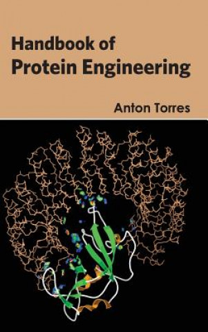 Kniha Handbook of Protein Engineering Anton Torres