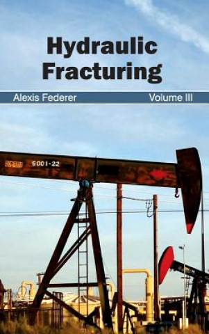 Kniha Hydraulic Fracturing: Volume III Alexis Federer