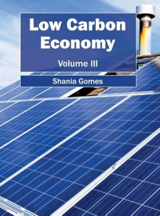 Könyv Low Carbon Economy: Volume III Shania Gomes