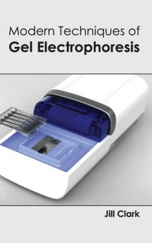 Book Modern Techniques of Gel Electrophoresis Jill Clark