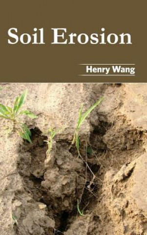 Kniha Soil Erosion Henry Wang