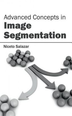 Carte Advanced Concepts in Image Segmentation Niceto Salazar