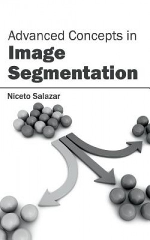 Kniha Advanced Concepts in Image Segmentation Niceto Salazar