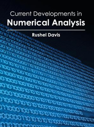Könyv Current Developments in Numerical Analysis Rushel Davis