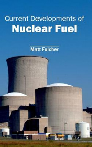 Könyv Current Developments of Nuclear Fuel Matt Fulcher