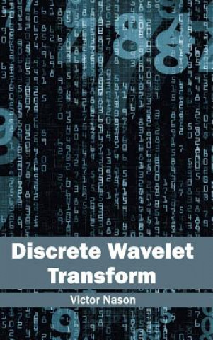 Book Discrete Wavelet Transform Victor Nason