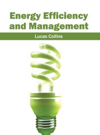 Книга Energy Efficiency and Management Lucas Collins