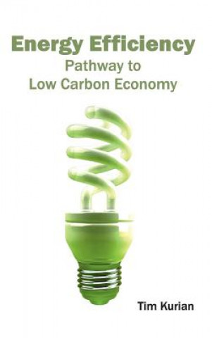 Knjiga Energy Efficiency: Pathway to Low Carbon Economy Tim Kurian
