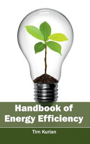 Kniha Handbook of Energy Efficiency Tim Kurian