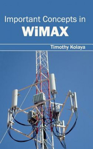Carte Important Concepts in Wimax Timothy Kolaya