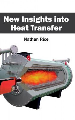 Buch New Insights Into Heat Transfer Nathan Rice