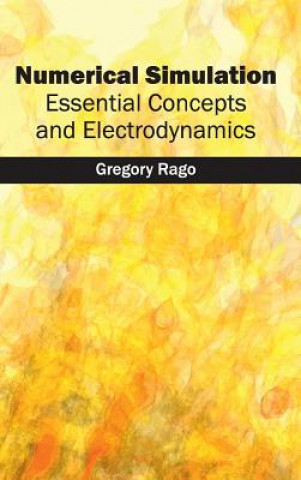 Livre Numerical Simulation: Essential Concepts and Electrodynamics Gregory Rago