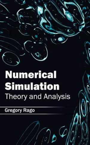 Buch Numerical Simulation: Theory and Analysis Gregory Rago