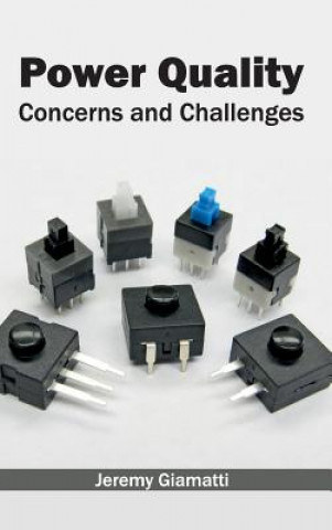 Book Power Quality: Concerns and Challenges Jeremy Giamatti