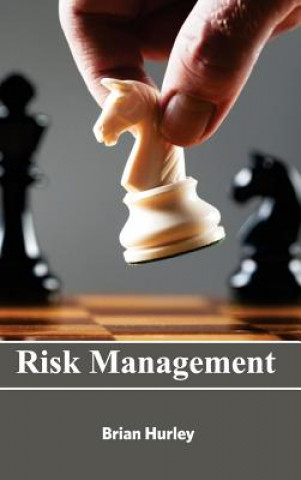 Kniha Risk Management Brian Hurley