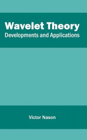 Kniha Wavelet Theory: Developments and Applications Victor Nason