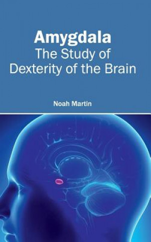 Book Amygdala: The Study of Dexterity of the Brain Noah Martin