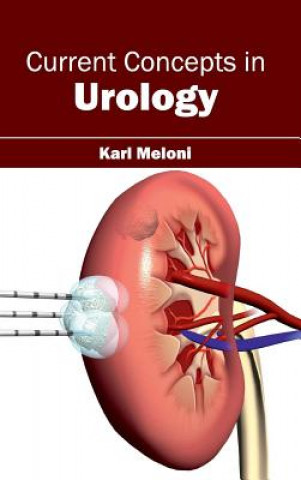 Kniha Current Concepts in Urology Karl Meloni