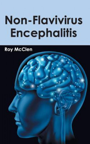 Kniha Non-Flavivirus Encephalitis Roy McClen