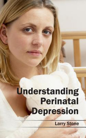 Könyv Understanding Perinatal Depression Larry Stone