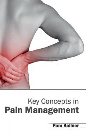 Книга Key Concepts in Pain Management Pam Kellner