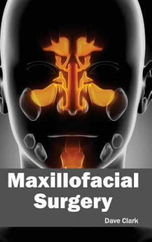 Buch Maxillofacial Surgery Dave Clark