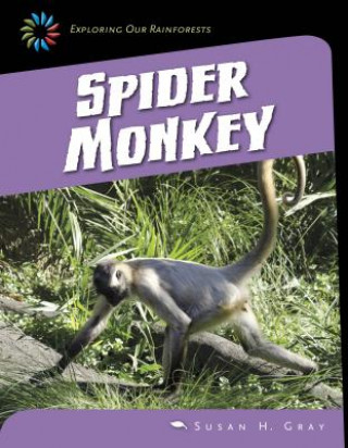 Kniha Spider Monkey Susan H. Gray