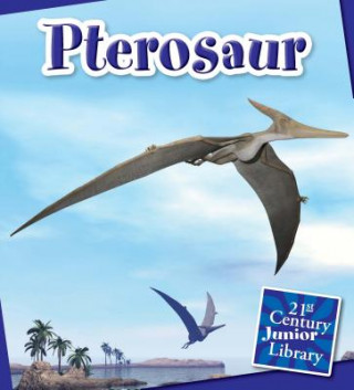 Kniha Pterosaur Jennifer Zeiger