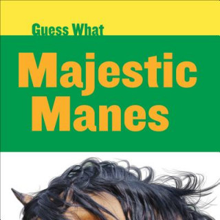 Kniha Majestic Manes: Horse Kelly Calhoun