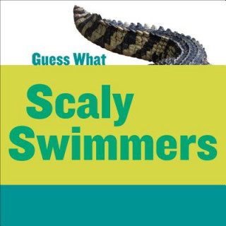 Könyv Scaly Swimmers: Crocodile Kelly Calhoun