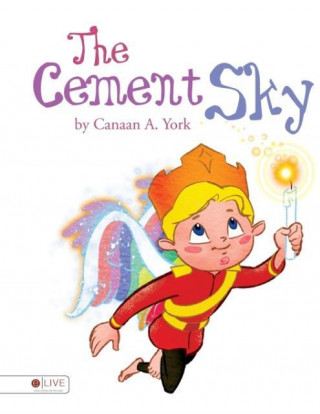 Książka The Cement Sky Canaan A. York