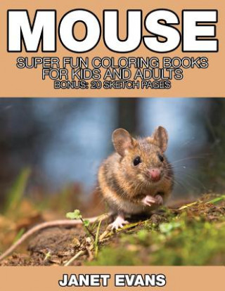 Kniha Mouse Janet Evans