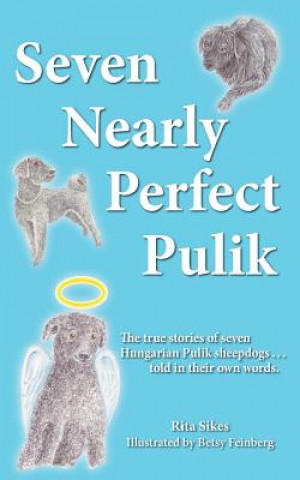 Buch Seven Nearly Perfect Pulik Rita Sikes