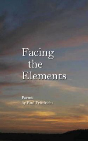 Knjiga Facing the Elements Paul Edward Friedrichs