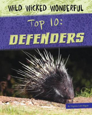 Kniha Top 10: Defenders Virginia Loh-Hagan