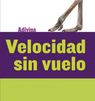 Kniha Velocidad Sin Vuelo (Fast and Flightless): Avestruz (Ostrich) Kelly Calhoun