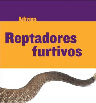 Kniha Reptadores Furtivos (Slinky Sliders): Serpiente de Cascabel (Rattlesnake) Kelly Calhoun