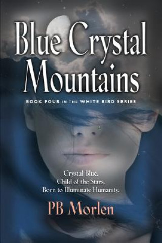 Kniha Blue Crystal Mountains - Book Four in the White Bird Series Pb Morlen