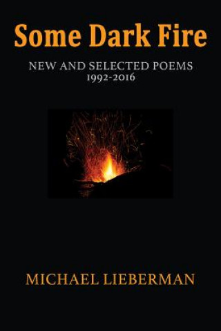 Książka Some Dark Fire Michael Lieberman