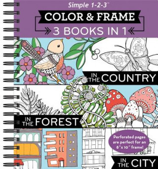 Könyv Color and Frame 3 in 1 City Ltd Publications International