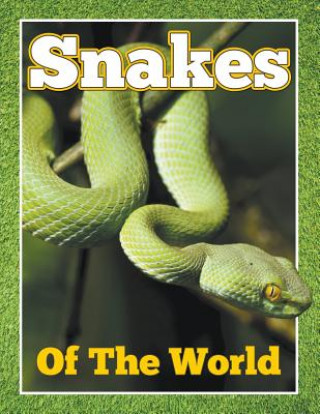 Knjiga Snakes of the World Speedy Publishing LLC
