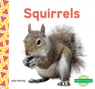 Knjiga Squirrels Julie Murray
