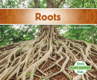 Book Roots Grace Hansen