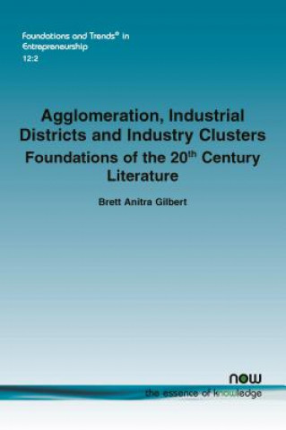 Kniha Agglomeration, Industrial Districts and Industry Clusters Brett Anitra Gilbert