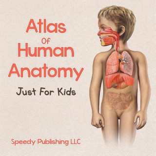 Buch Atlas Of Human Anatomy Just For Kids Speedy Publishing LLC