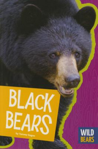 Libro Black Bears Tammy Gagne