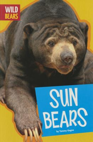 Książka Sun Bears Tammy Gagne