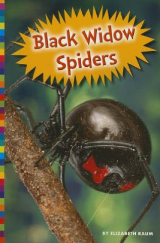 Книга Black Widow Spiders Elizabeth Raum